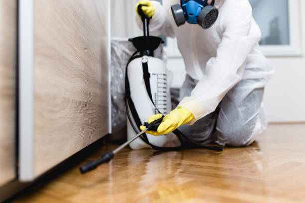 Best Commercial Pest Control Services  in Gillette, NJ