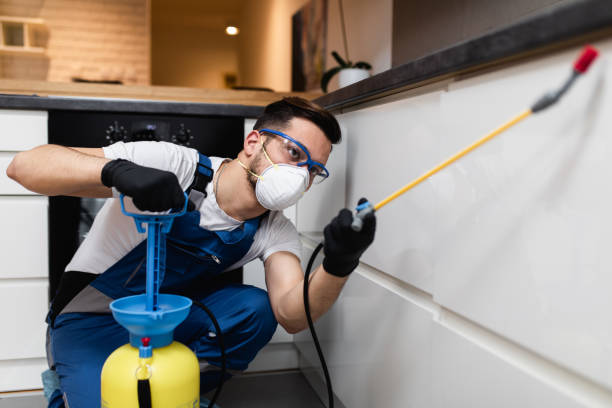 Best Pest Control for Restaurants  in Gillette, NJ