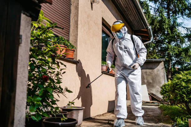 Best Spider Control Near Me  in Gillette, NJ