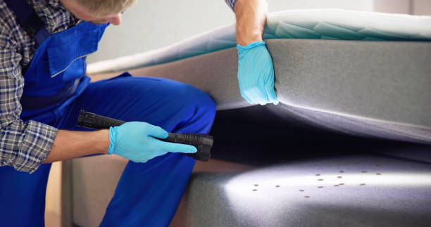 Best Mosquito Control Services  in Gillette, NJ