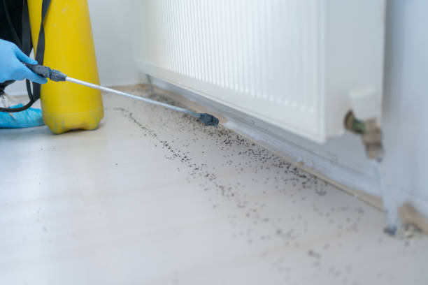Pest Control for Restaurants in Gillette, NJ