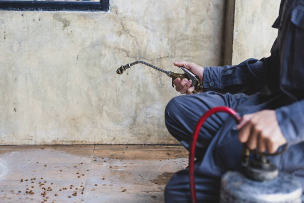 Best Pest Prevention Services  in Gillette, NJ