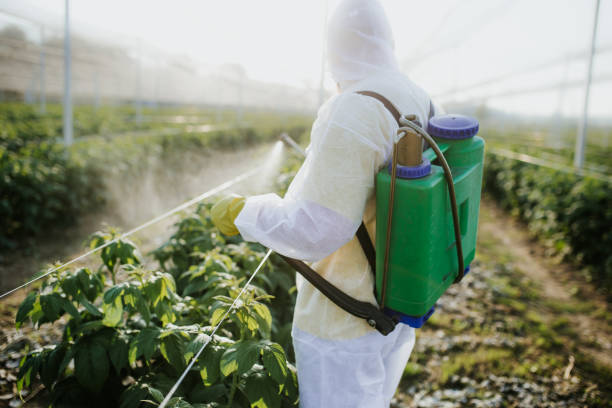 Best Local Pest Control Services  in Gillette, NJ